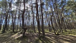 Фото впечатления